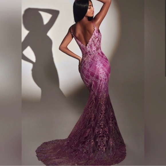 Prom/Formal Dress - Picture 2 of 2